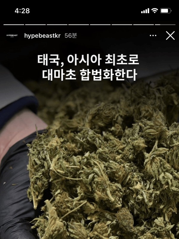 아시아 최초로 대마 합법화한 태국 근황.jpg