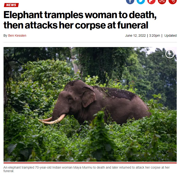 the absurd elephant death in India yesterday