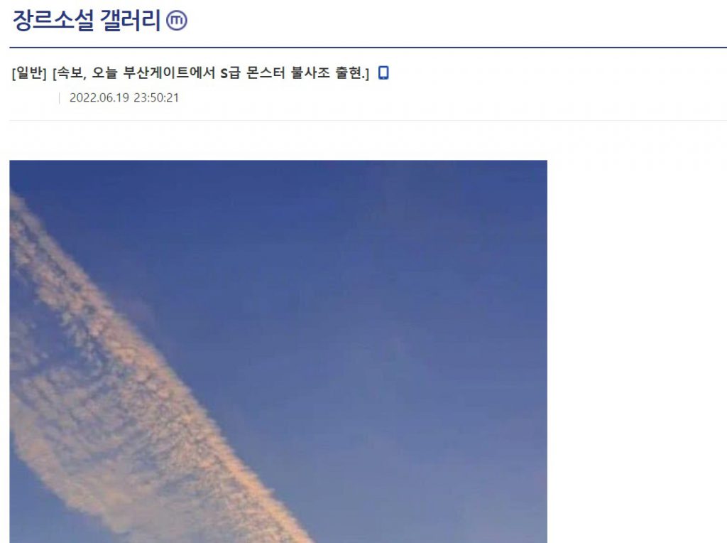 Breaking news: S-class monster phoenix appears at Busan Gate.jpg