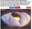 Singles Are Sex Banned at Qatar World Cup.JPG
