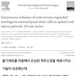 Successful development of spinal nerve restoration technology