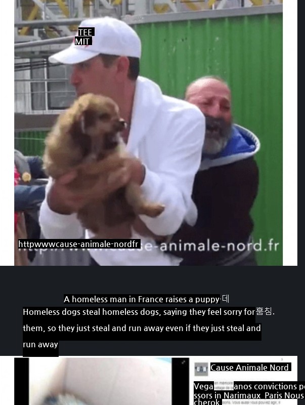 French animal organization that took away dogs because they felt sorry for them
