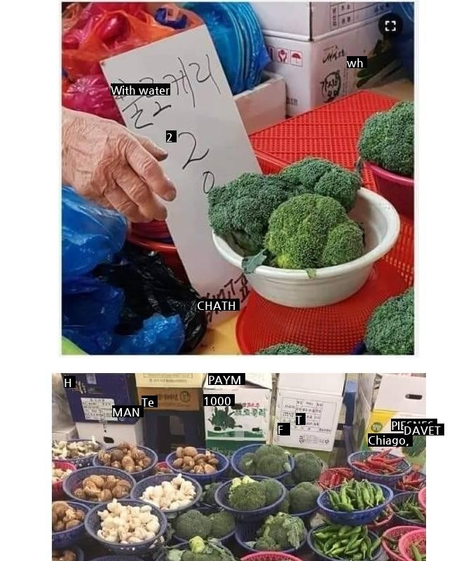 Vegetables that are not easy to write correctly in Korean