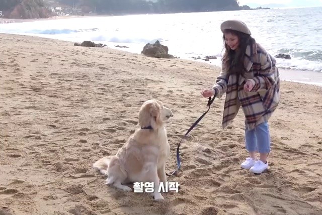 (SOUND)SANA tries to get close to dogs