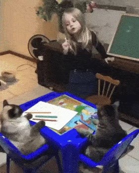 Daughter who makes cat study gif