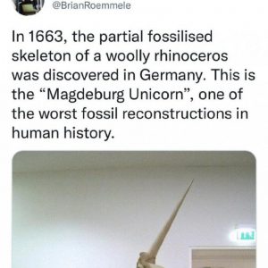 the worst fossil restoration in human history.jpg