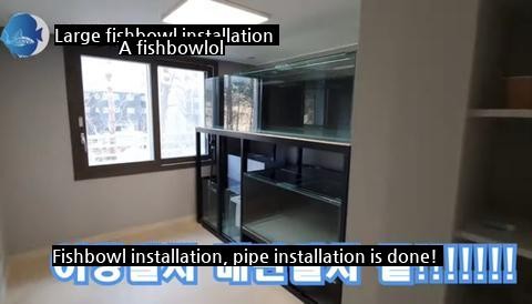 a huge fishbowl installed in an apartment.jpg
