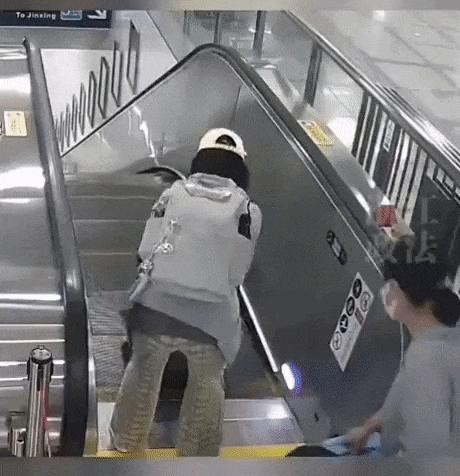Escalator Accident on the Amazing Continent GIF