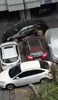 Driver who is obsessed with double parking gif