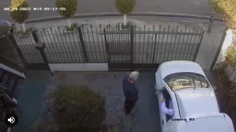 Unexpected house invasion gif