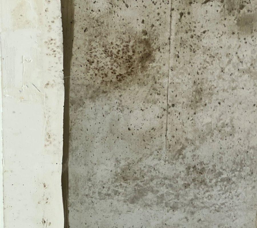 Is it cement wall mold?