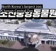 North Korean zoo level.jpg