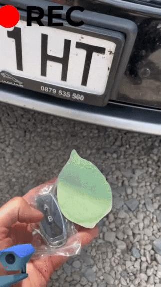 a license plate cover disguised as a leaf
