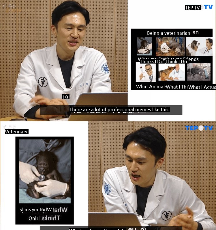 Essential course to become a veterinarian.jpg