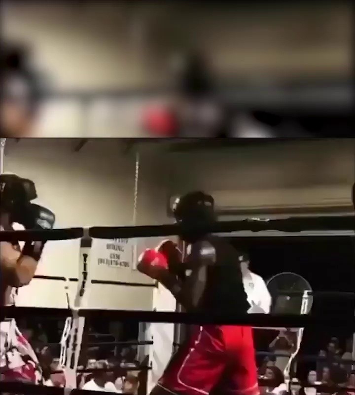 (SOUND)Amazing KOgif from amateur boxing