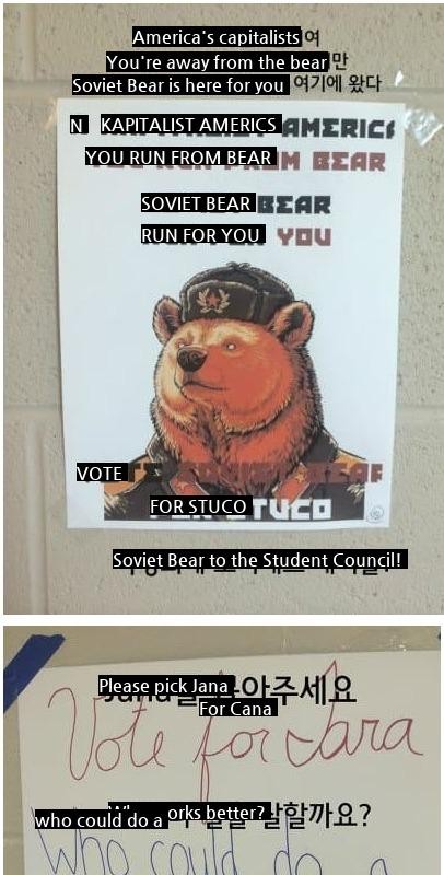 "United States Student Council elections"