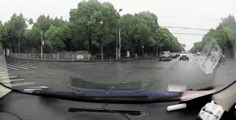 Unexpected co-starring gif