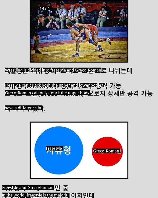 Best Injagang in Korea's Wrestling Gold Medal