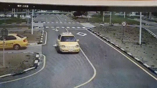 Driver's license function test catastrophic gif