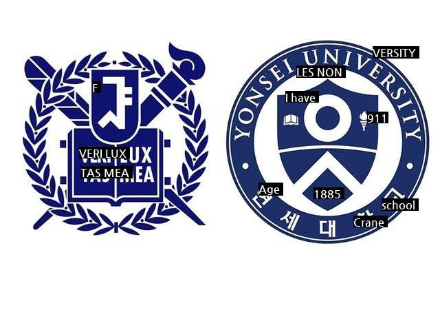 Seoul National University's last place vs Yonsei University's chief