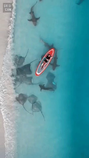 Tourists enjoying vacation in Maldives gif