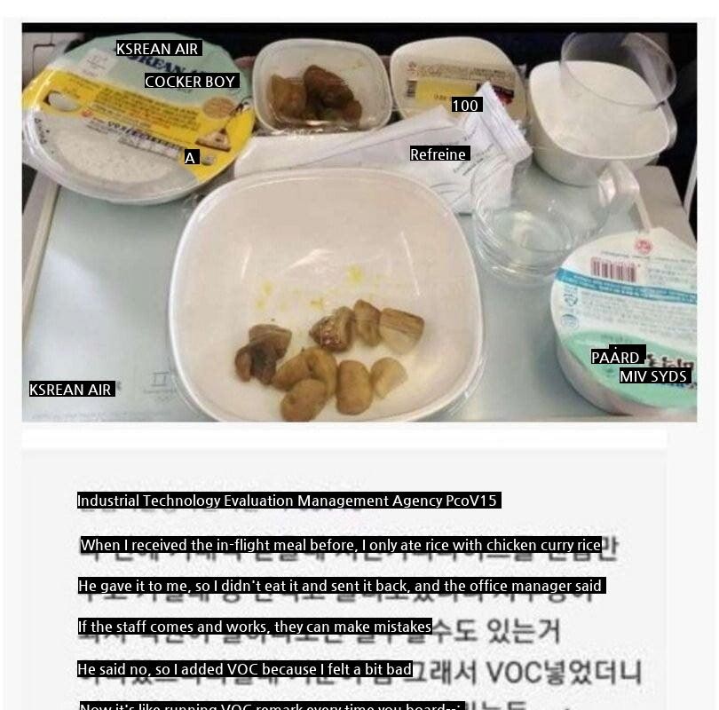 Korean Air In-flight Meal Claim Casejpg