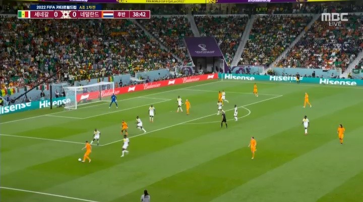 Senegal v Netherlands Netherlands Cody Gakpo first goal Shaking. Shaking