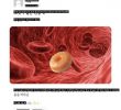 Why donuts are bad for blood vessels.jpg
