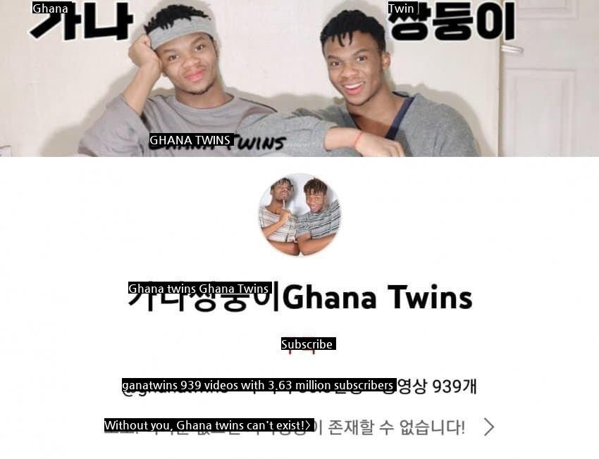 Twin YouTubers who are criticized for cheering for Ghana.jpg