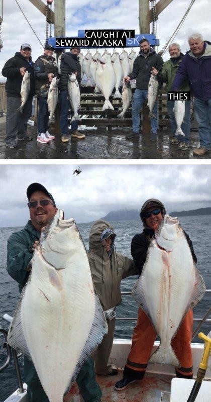 the size of flatfish caught in Alaska
