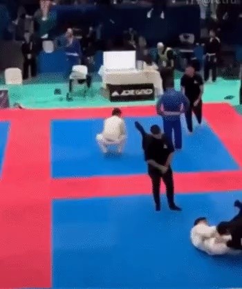 During the Jiu-Jitsu competition, when the owner was laid down, gif