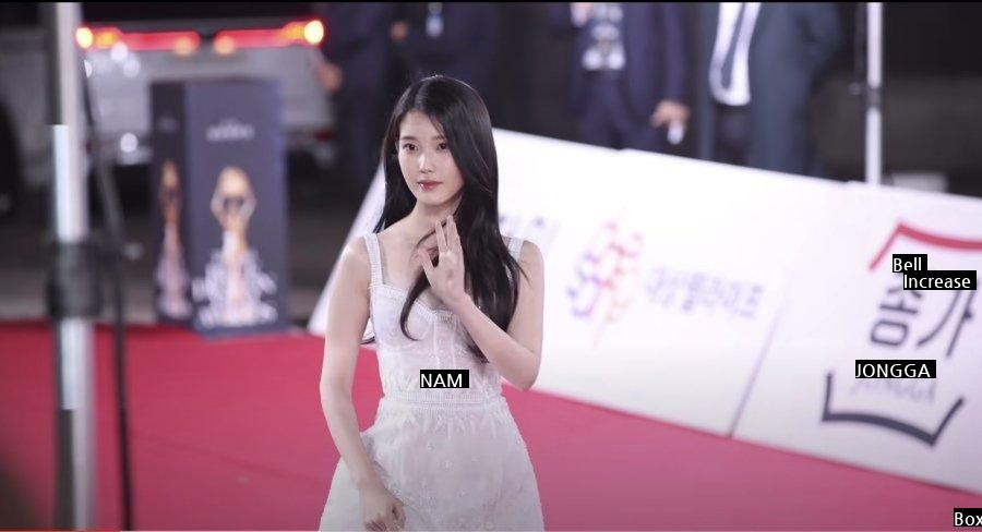 Wow, IU is really pretty. Blue Dragon Film Awards red carpet.jpg