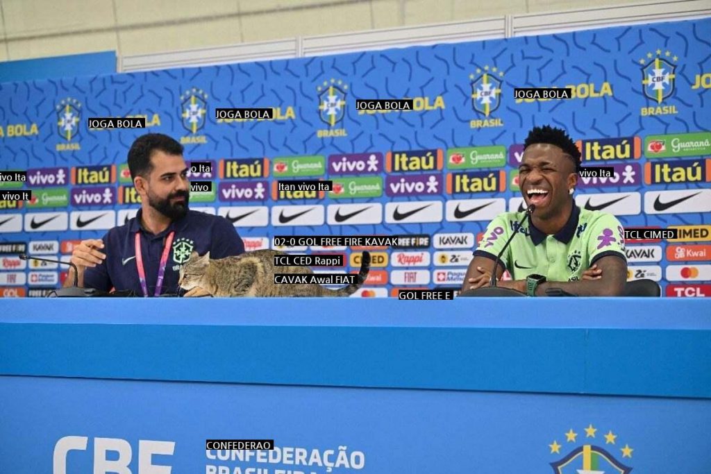 What happened during a press conference for Brazil's quarterfinals that they are divided