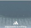 Messi's picture posted by Adidas.jpg