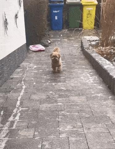 Four-wheel drive that slides helplessly on an icy road.gif