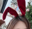 Christmas-like flower bun sister Bunny Girl