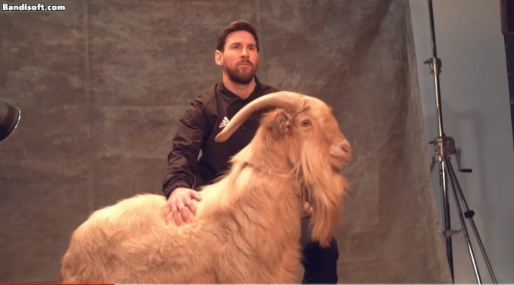 I thought it was a composite picture of Messi goat.jpg