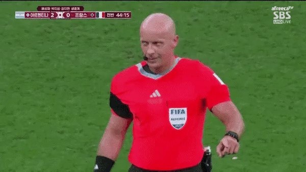 the referee of the World Cup final
