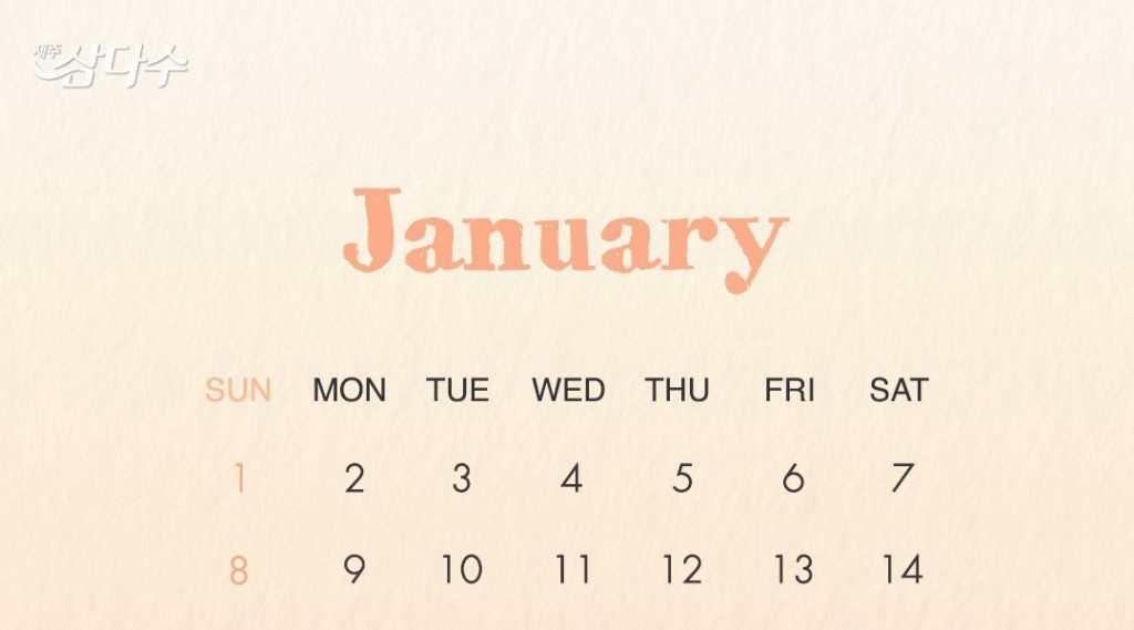 IU Samdasoo's January Calendar