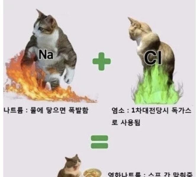 the novelty of chemistry