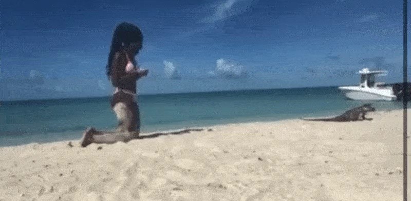 Crocodile bite while trying to yoga on the beach gif