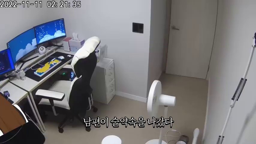 (SOUND)I observed my husband who came in after drinking.~KMP4