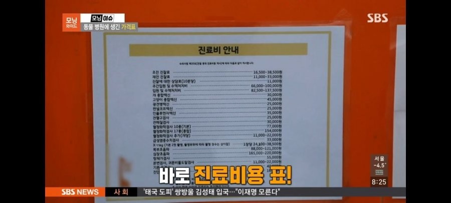 From January 5th, mark the medical price list at the Korea Animal Hospital.