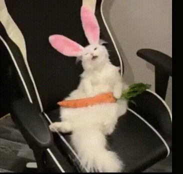Rabbit Comfortable with Carrot