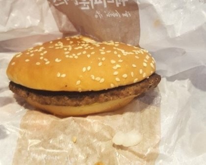 Bulgogi burger hopeless episode