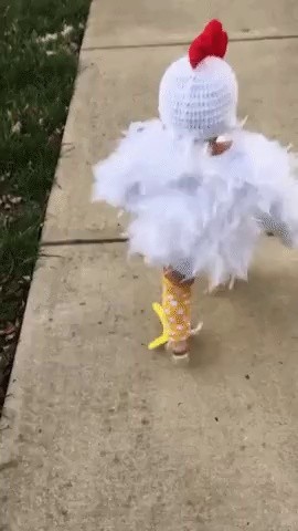 Confident baby gif dressed up as a chicken