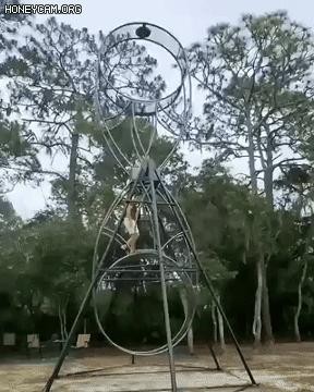 You can ride this ride!gif