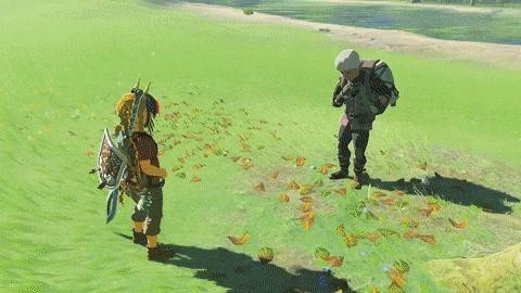The Legend of the Mad Zelda, Wild Breath Interaction