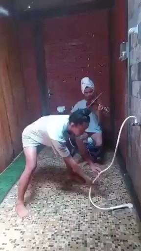 (SOUND)Basic training to be a snake trainer