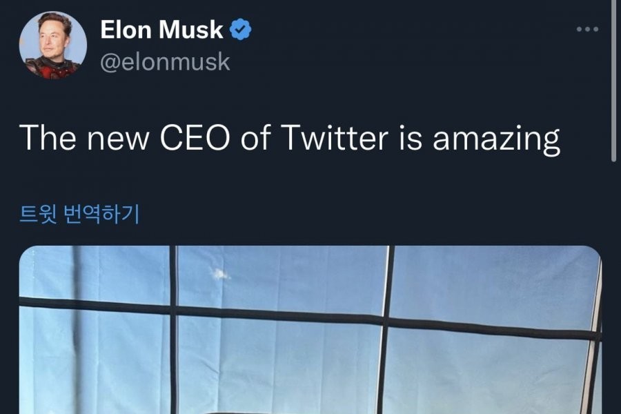 Recent status of Musk, who said he was looking for a new CEO on Twitter.jpg.